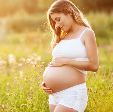 Taşıyıcı Annelik